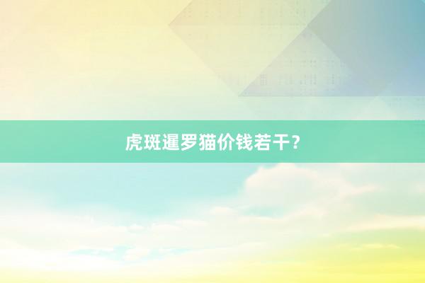 虎斑暹罗猫价钱若干？