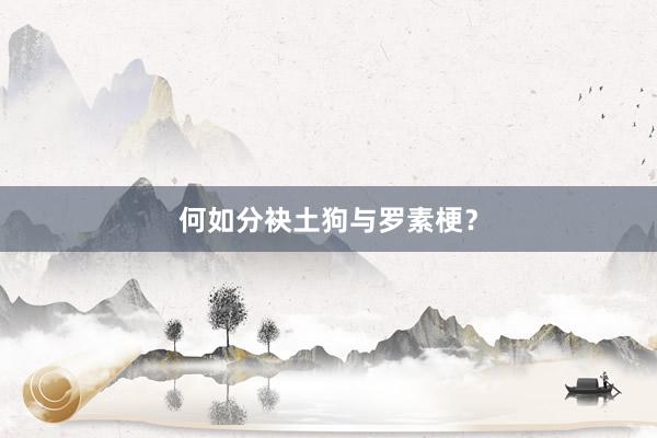 何如分袂土狗与罗素梗？